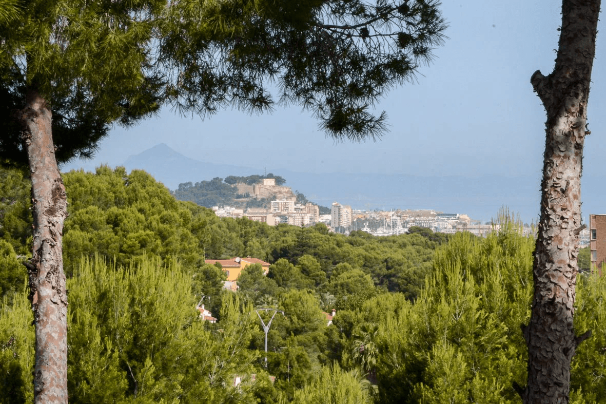 Villa for sale in Denia, Alicante