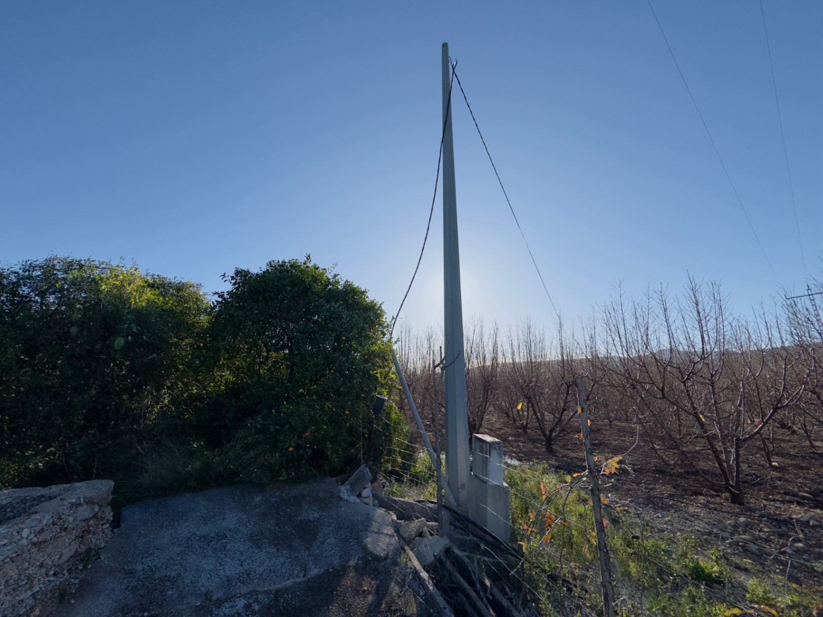 Finca à la vente à Beniarbeig, Alicante