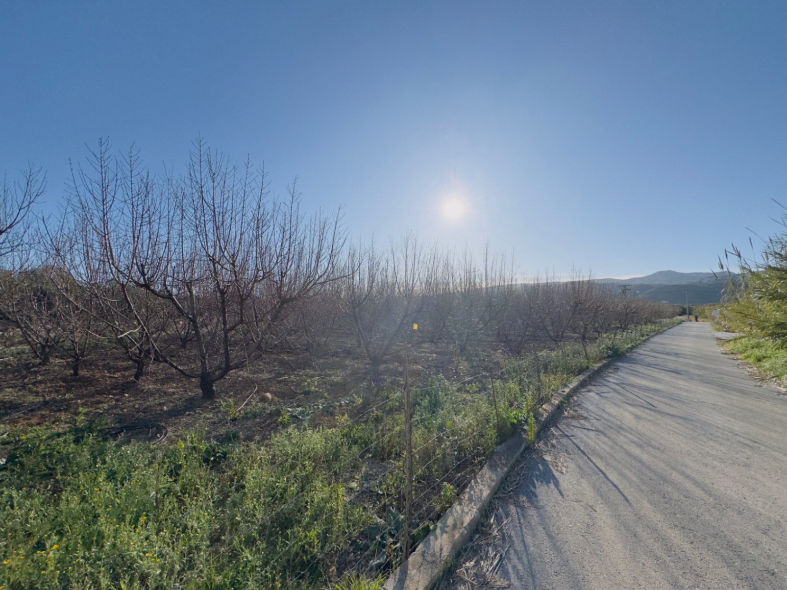 Finca à la vente à Beniarbeig, Alicante