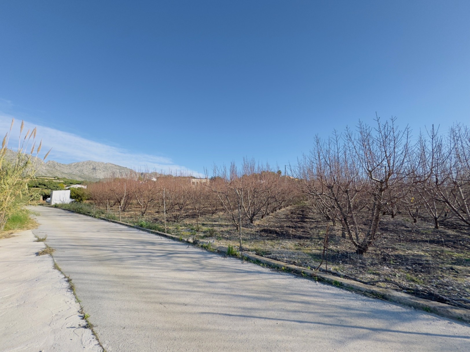Finca à la vente à Beniarbeig, Alicante
