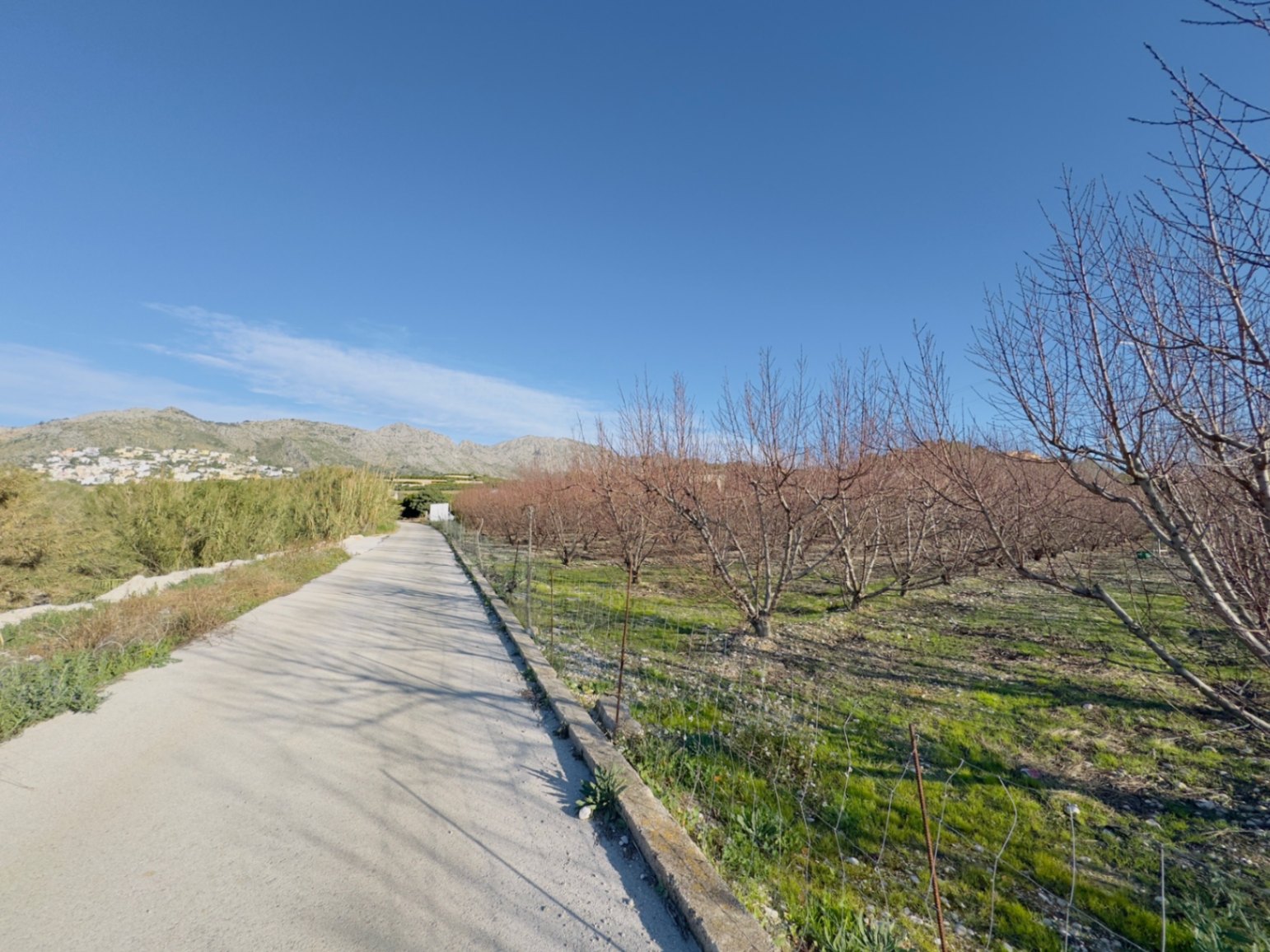 Finca à la vente à Beniarbeig, Alicante