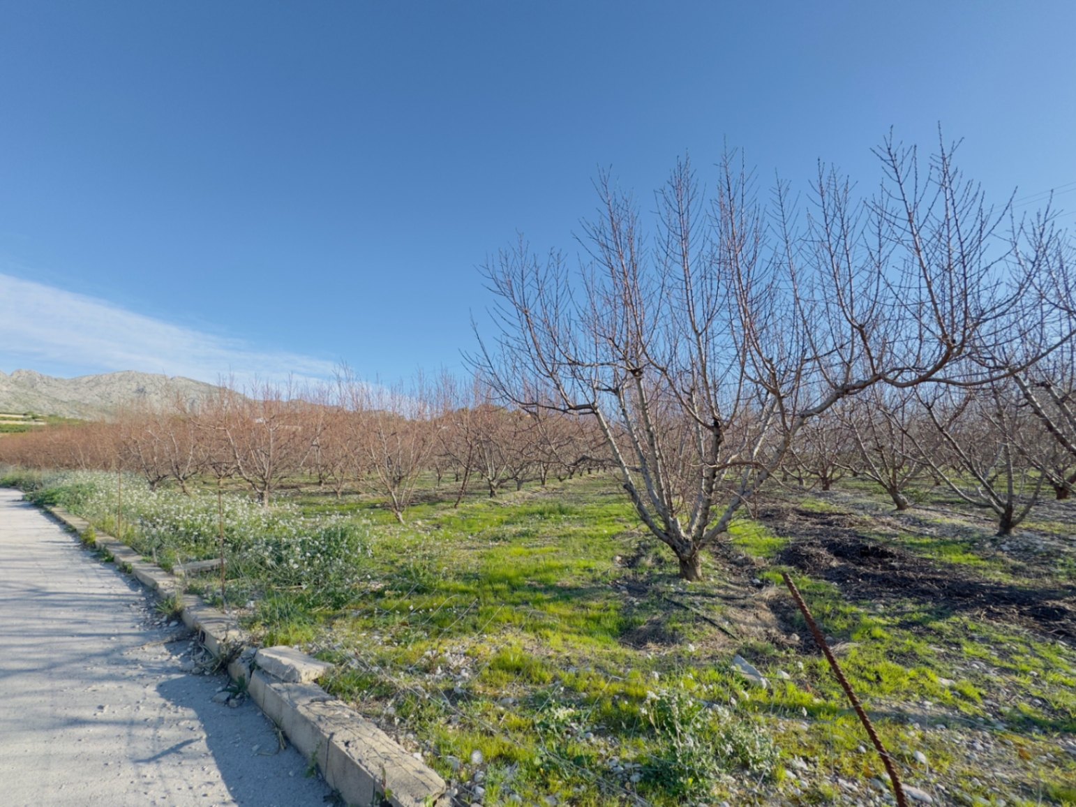 Finca à la vente à Beniarbeig, Alicante
