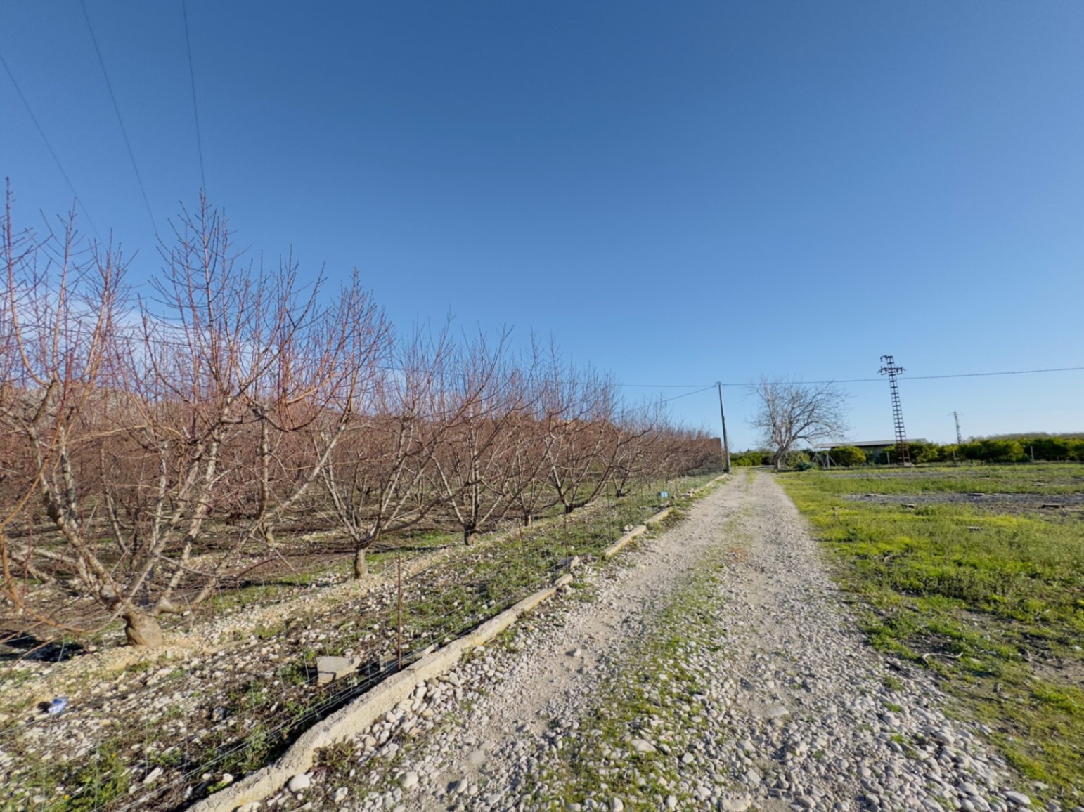 Finca à la vente à Beniarbeig, Alicante