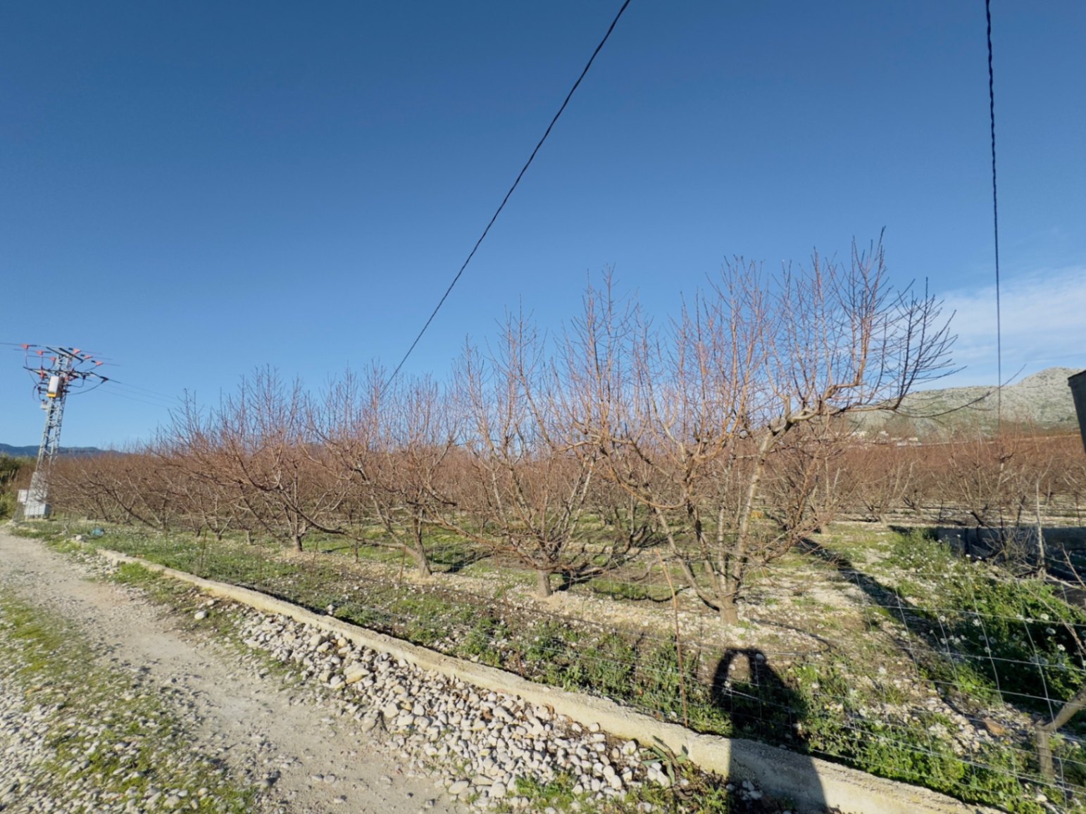 Finca à la vente à Beniarbeig, Alicante