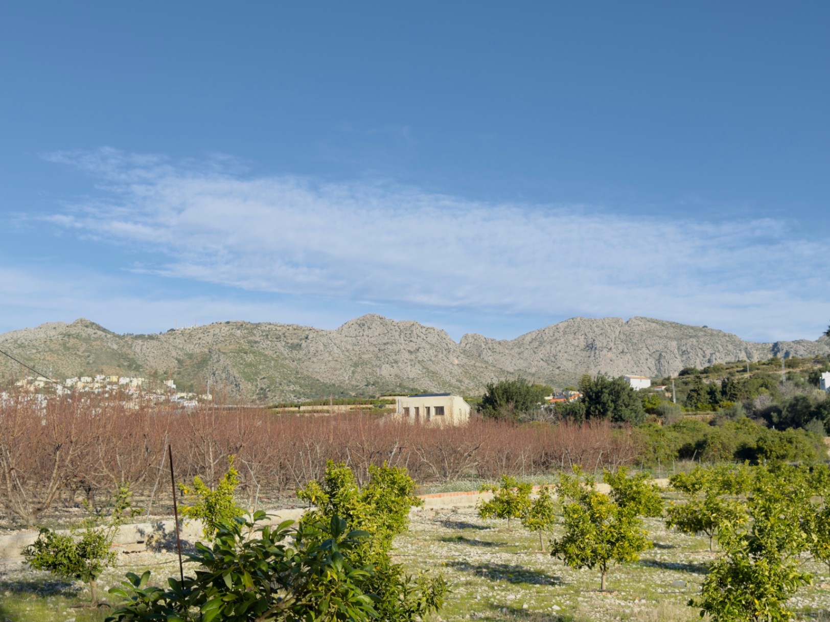 Finca à la vente à Beniarbeig, Alicante