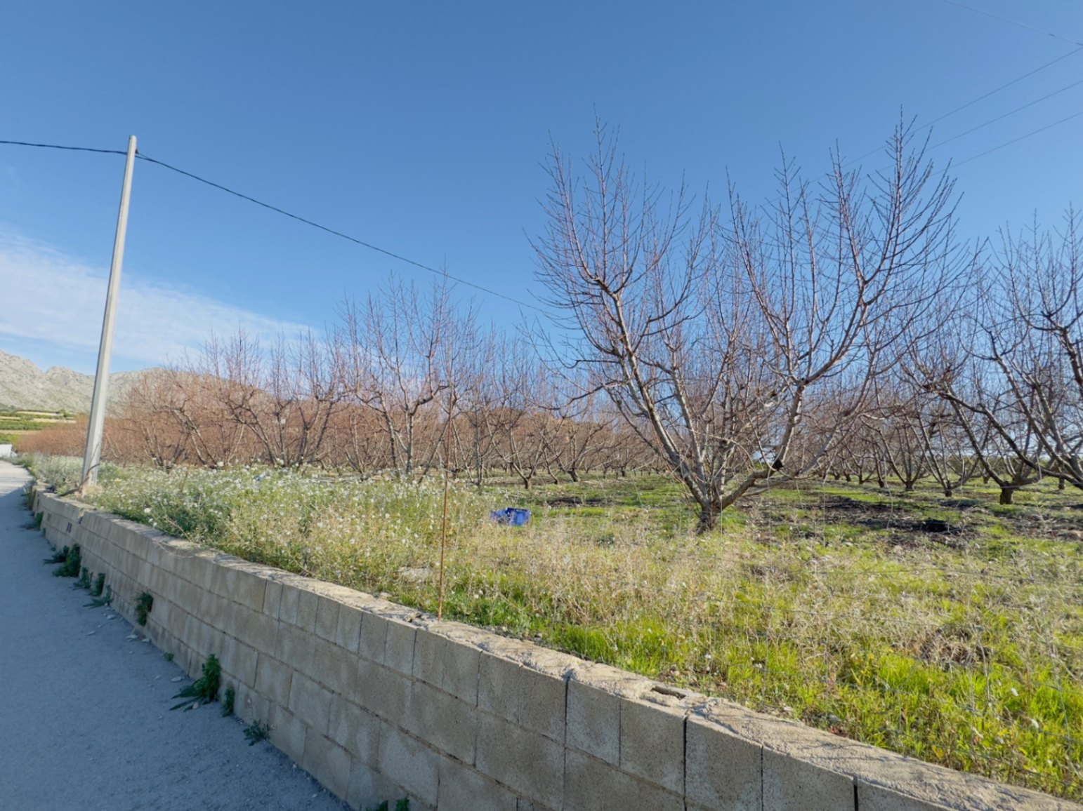 Finca à la vente à Beniarbeig, Alicante