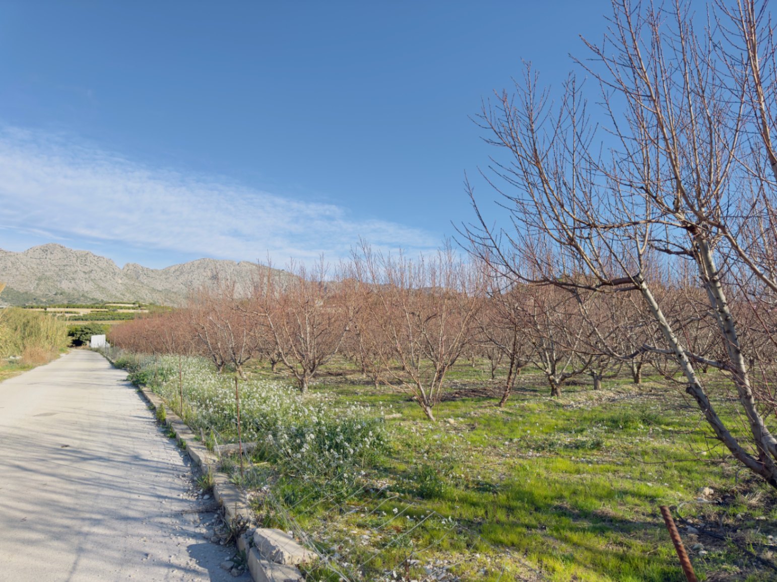Finca à la vente à Beniarbeig, Alicante