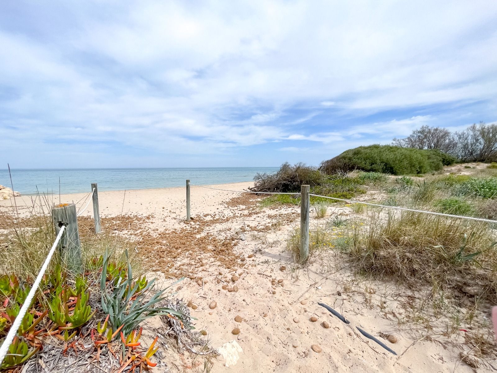Appartement en première ligne de plage à Dénia